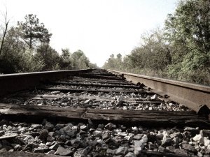 390159_645807894200_1081667390_n